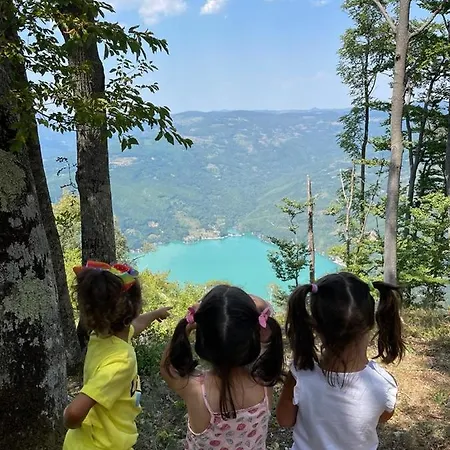 Log Banjska Stena