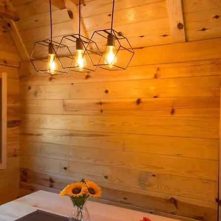 Log Banjska Stena * Mitrovac