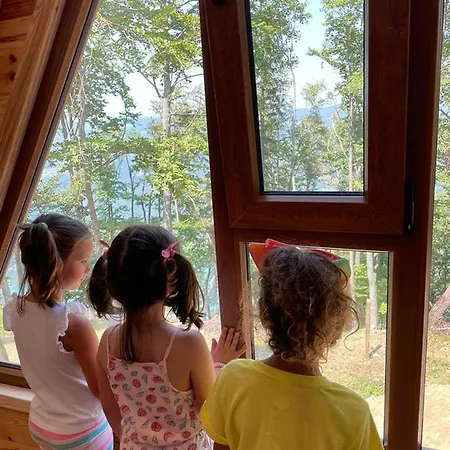 Log Banjska Stena Mitrovac